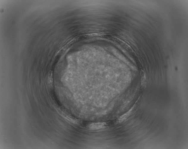 X0000067890179200605111900