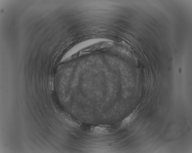 X0000067890180200605111900