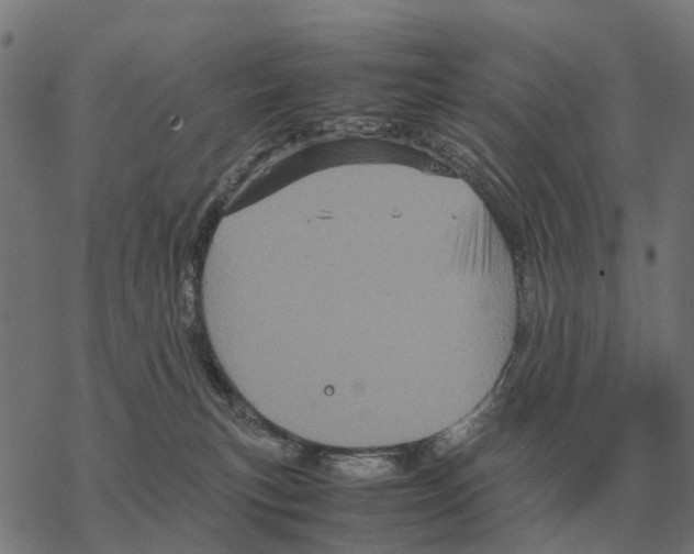 X0000067890183200605111900