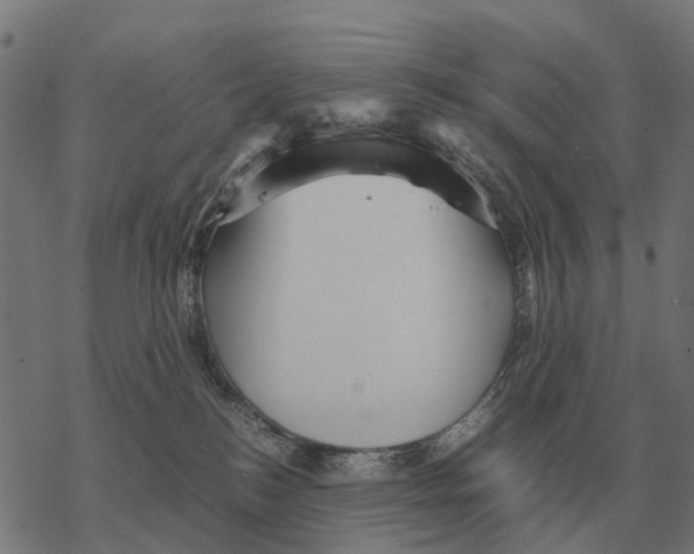 X0000067890184200605111900