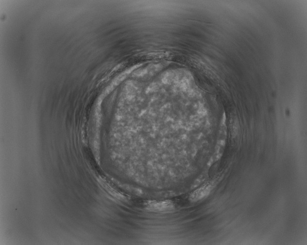 X0000067890185200605111900