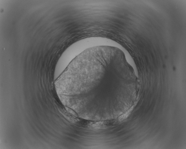 X0000067890186200605111900