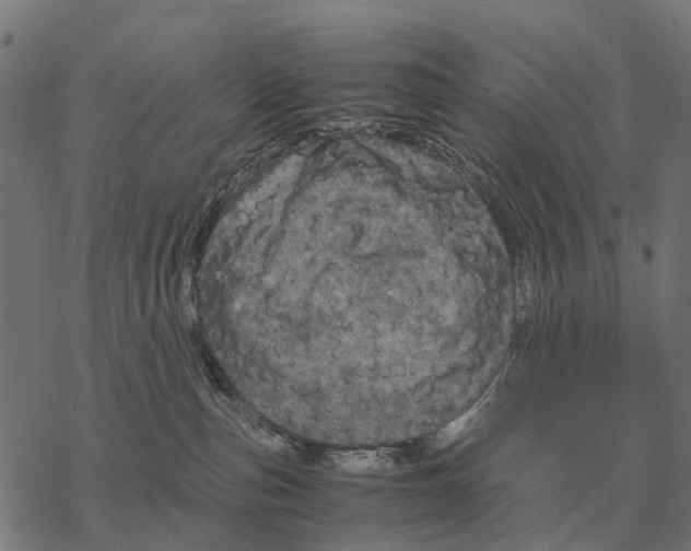 X0000067890187200605111900