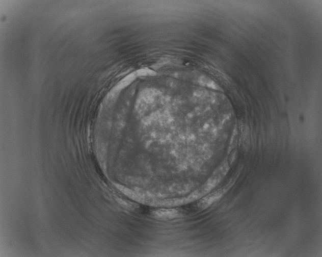 X0000067890189200605111900