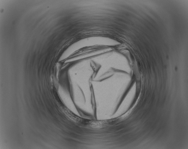 X0000067890190200605111900