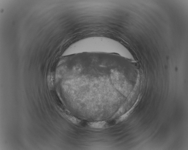 X0000067890191200605111900