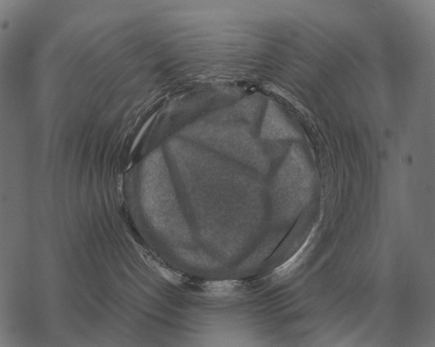 X0000067890192200605111900