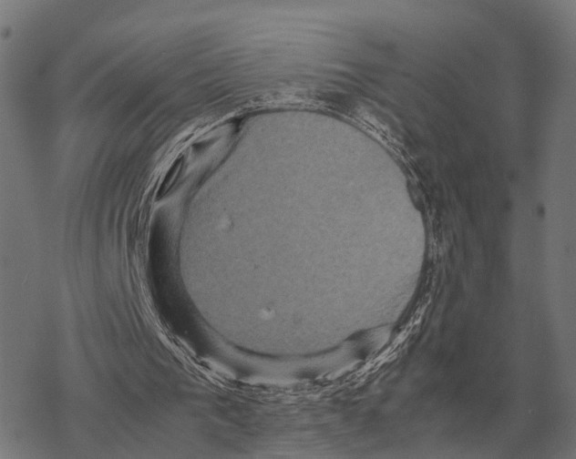 X0000067890193200605111859