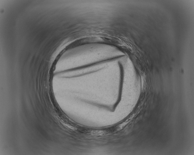 X0000067890195200605111859