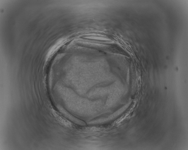 X0000067890197200605111859