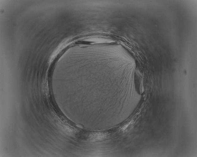 X0000067890198200605111859