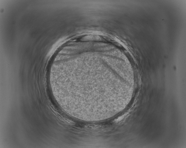 X0000067890199200605111859