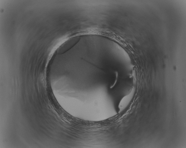 X0000067890200200605111859