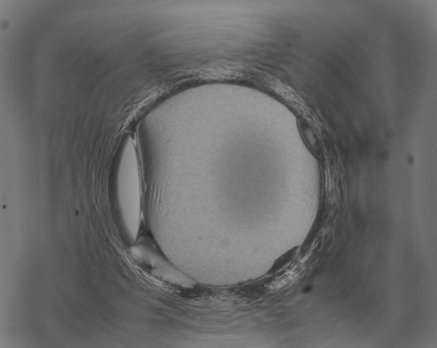 X0000067890201200605111859