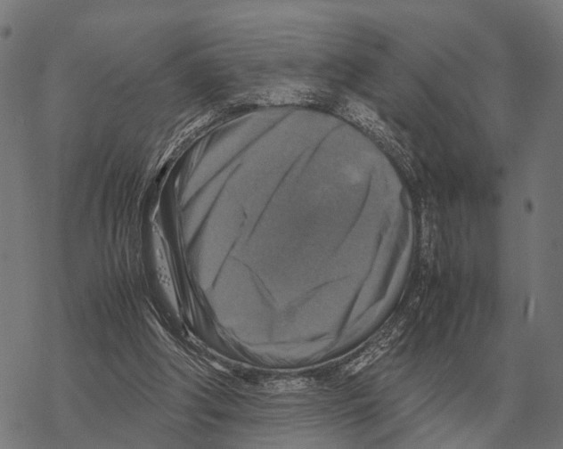 X0000067890202200605111859