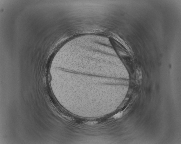 X0000067890203200605111859