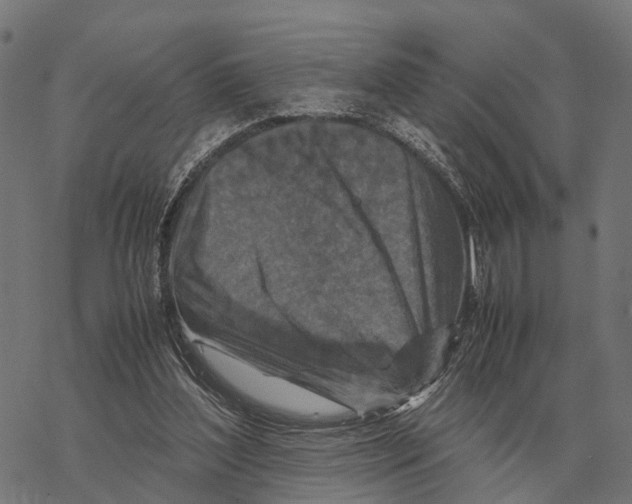 X0000067890204200605111859