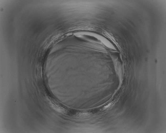 X0000067890205200605111859