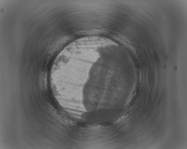 X0000067890206200605111859