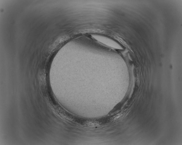 X0000067890207200605111859