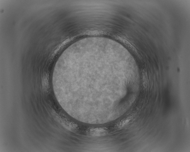 X0000067890208200605111859