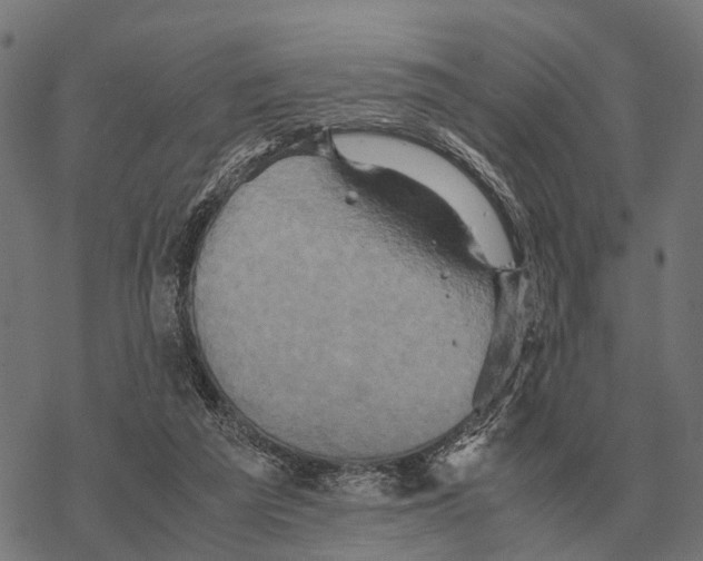 X0000067890209200605111859