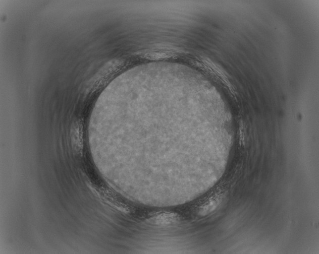 X0000067890210200605111859