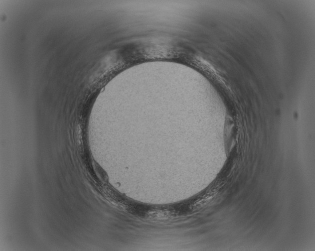 X0000067890211200605111859