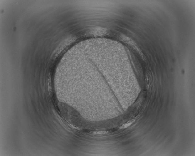 X0000067890212200605111859