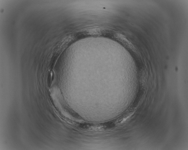 X0000067890213200605111859