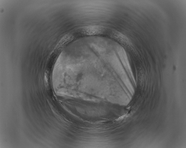 X0000067890214200605111859