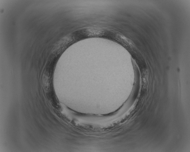 X0000067890215200605111859