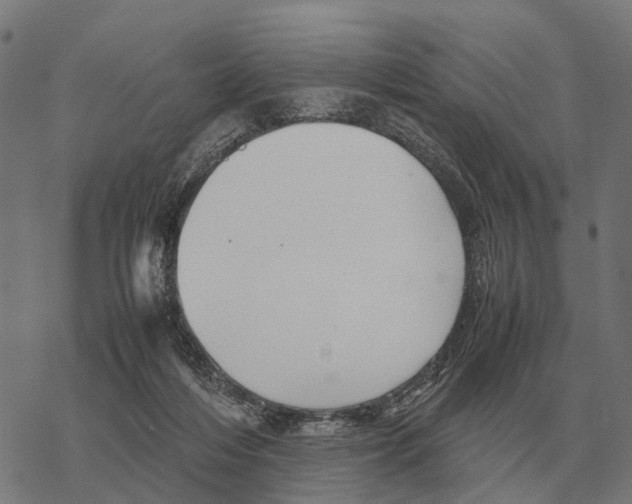 X0000067890216200605111859