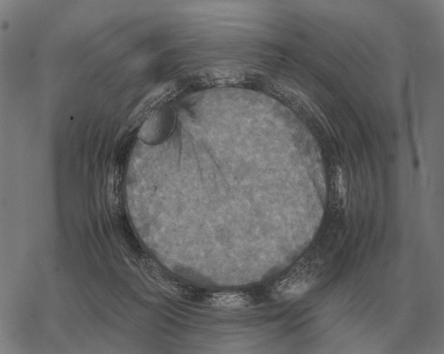 X0000067890218200605111859