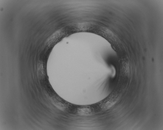 X0000067890220200605111859