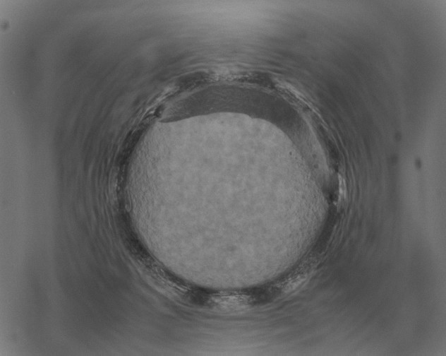 X0000067890221200605111859