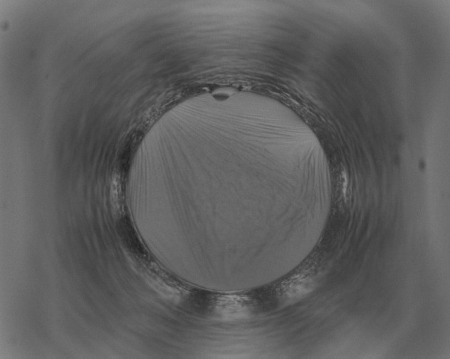 X0000067890222200605111859