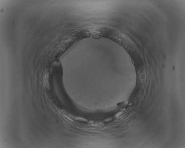 X0000067890223200605111859