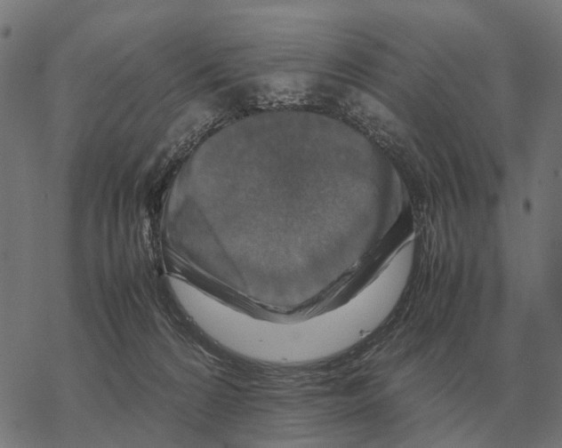 X0000067890224200605111859