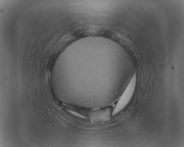 X0000067890225200605111859