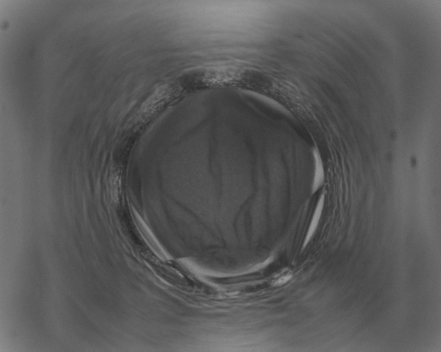 X0000067890227200605111859