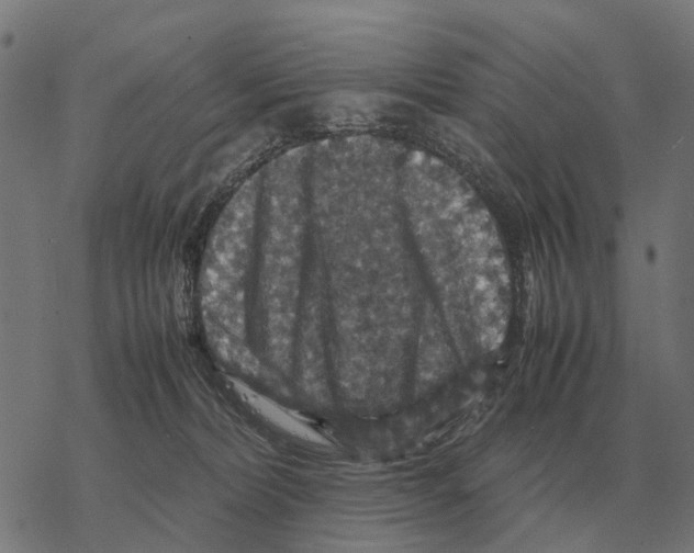 X0000067890228200605111859