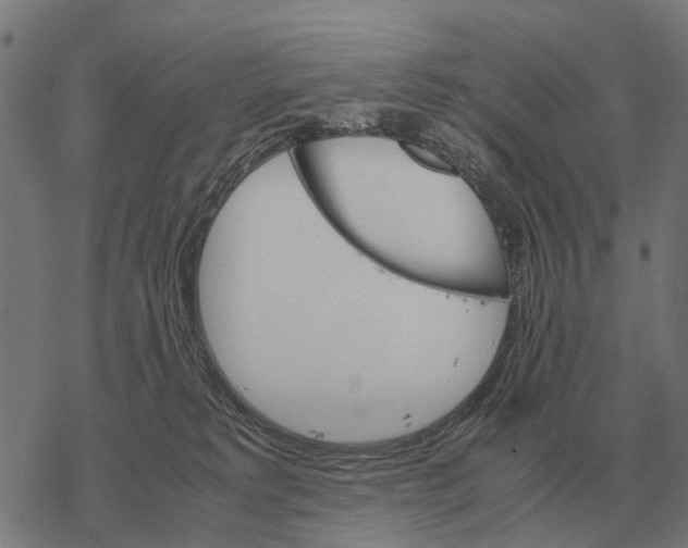 X0000067890229200605111859