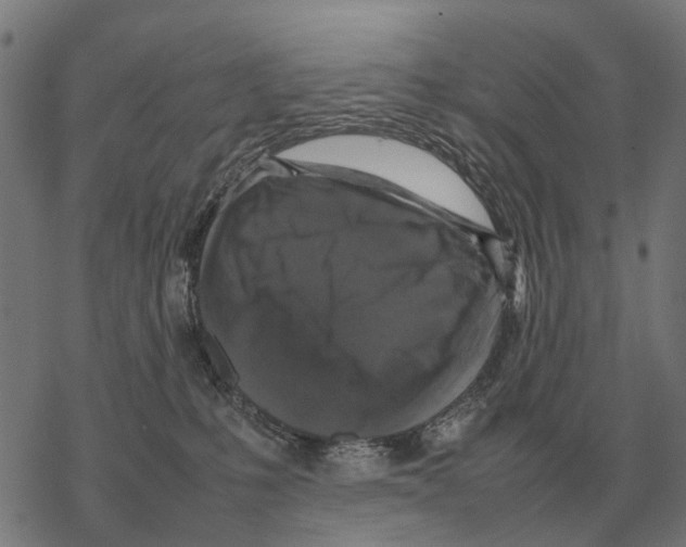 X0000067890231200605111859