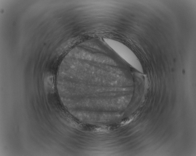 X0000067890232200605111859