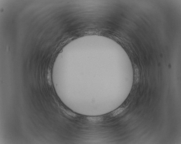 X0000067890234200605111859