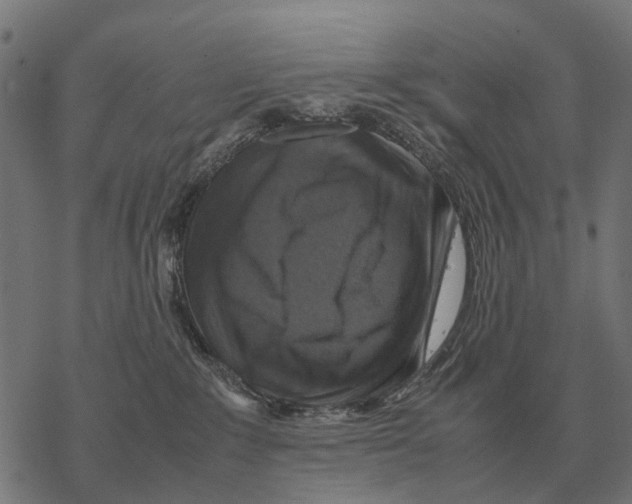 X0000067890235200605111859