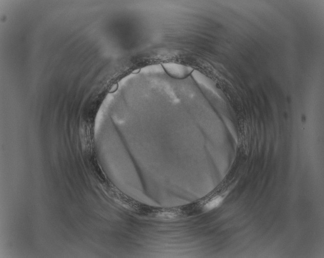 X0000067890236200605111859