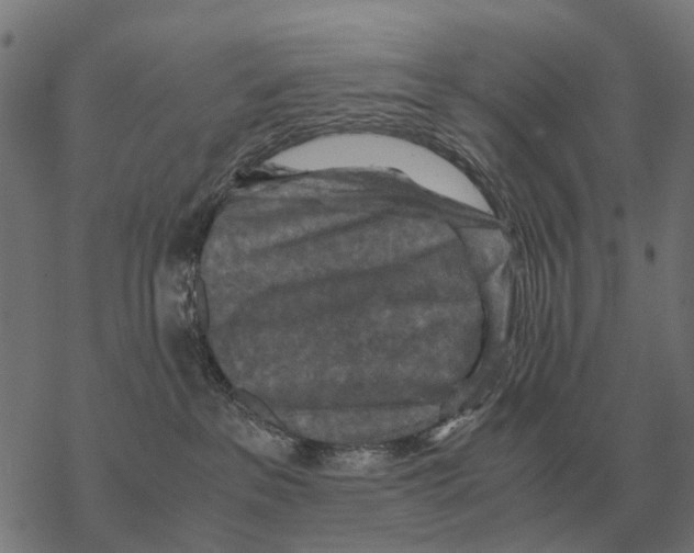 X0000067890237200605111859