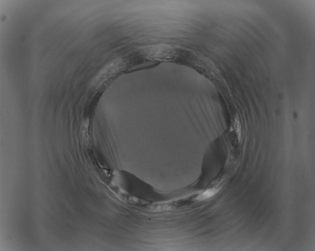 X0000067890239200605111859